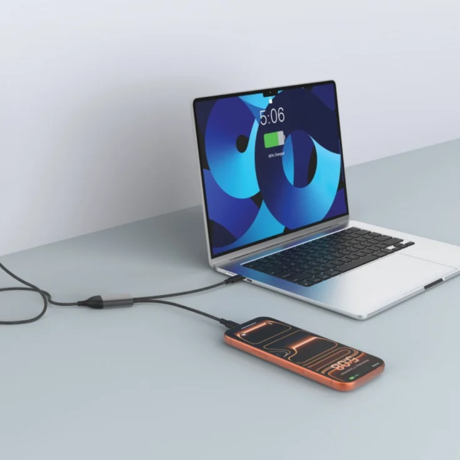 Câble 100W à double sortie USB-C Terra 