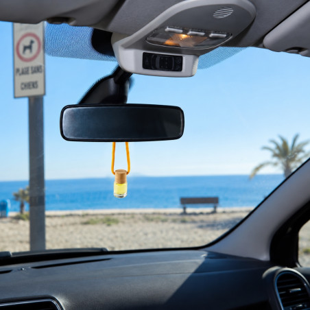 Désodorisant de voiture personnalisé Telox 
