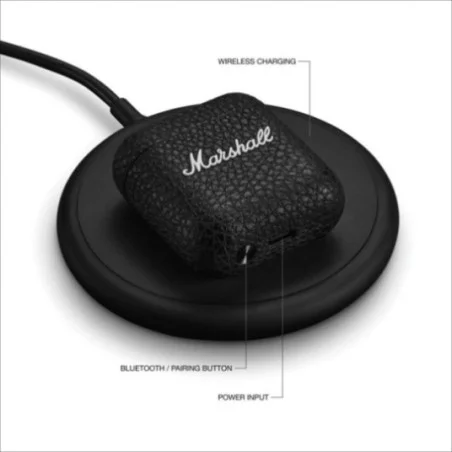Écouteurs personnalisés Marshall Minor IV 