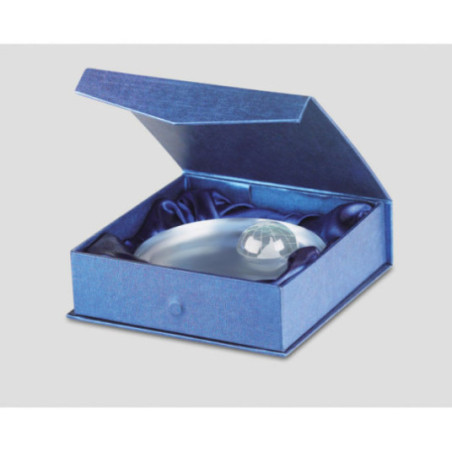 Trophée en Verre Globe Personnalisable 