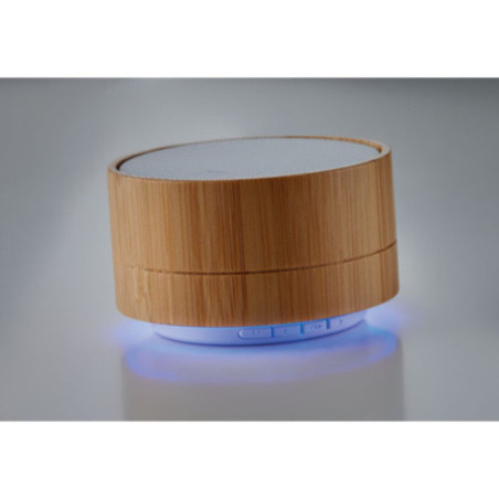 Enceinte Publicitaire Sound Bambou 