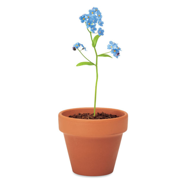 Kit plantation publicitaire Myosotis 
