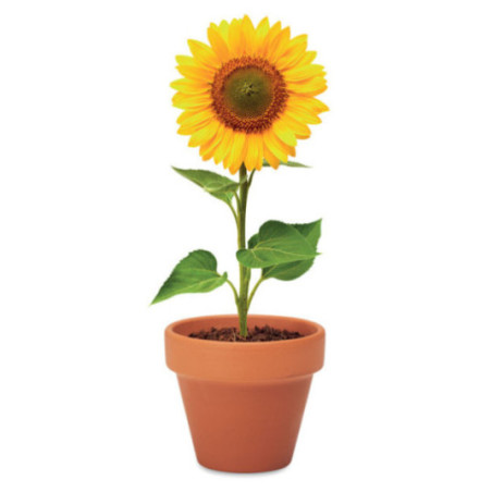 Kit plantation publicitaire Tournesol 
