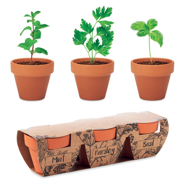 Set de plantation publicitaire Aromatique 