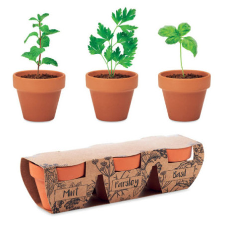 Set de plantation publicitaire Aromatique 