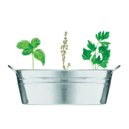 Bac à plantes publicitaire Mix Seeds 