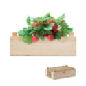 Kit de culture de fraises Strawberry 