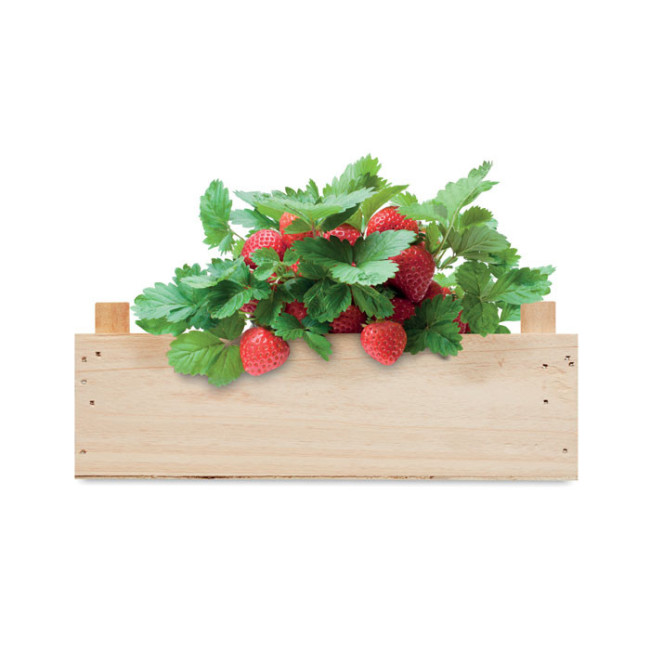 Kit de culture de fraises Strawberry 