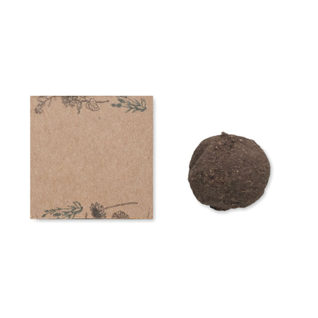Kit de culture de graines BOMBI 