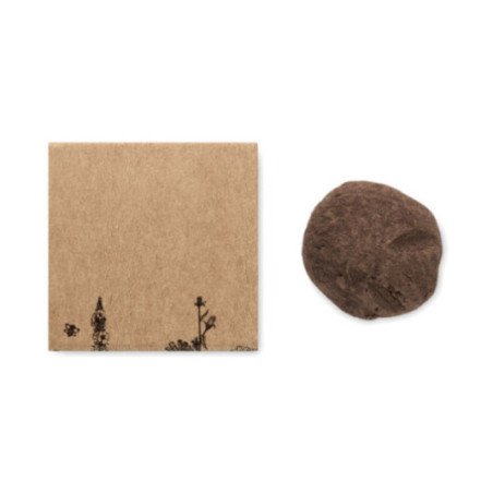 Kit de culture de graines Bombi II 