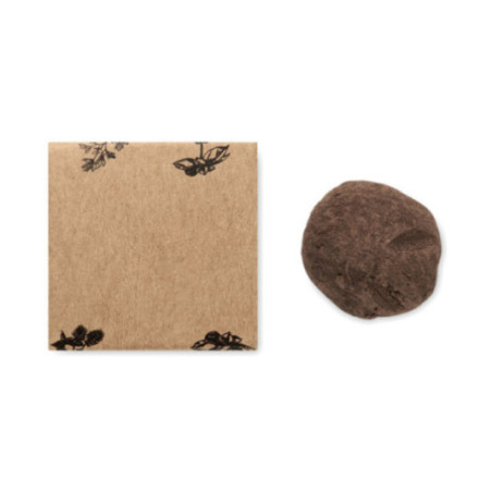 Kit de culture de graines Bombi III 