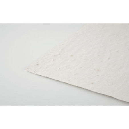 Feuille de papier recyclé à planter A4 Asidi 