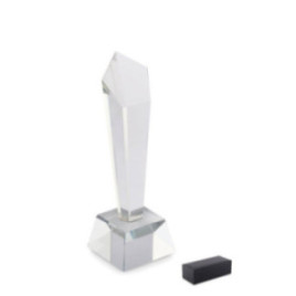 Trophée en cristal...
