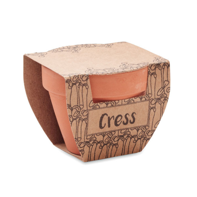 Petit pot avec graine Cress pot 
