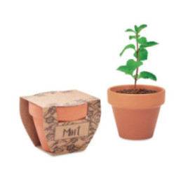 Petit pot de graines...