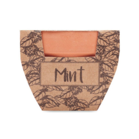 Petit pot de graines publicitaire Mint Pot 