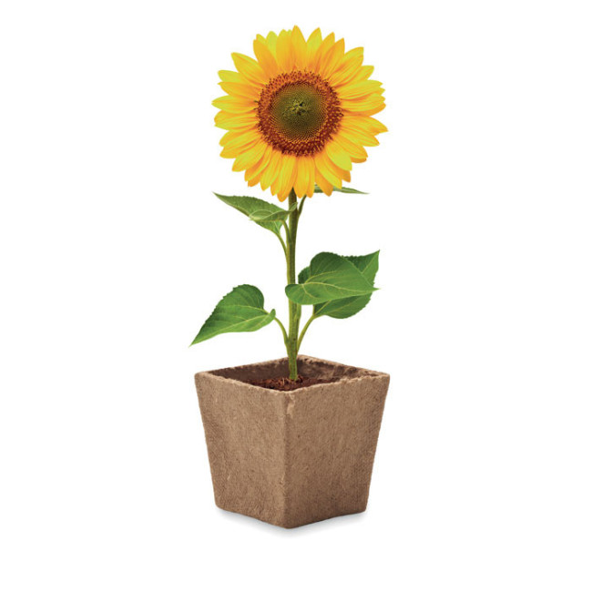 Pot de tourbe pour tournesol Sunflower Kit 