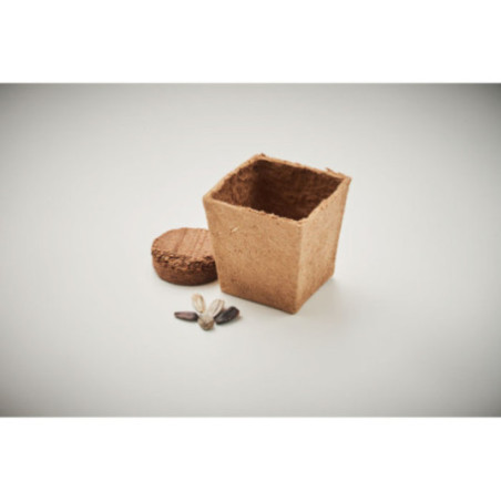 Pot de tourbe pour tournesol Sunflower Kit 