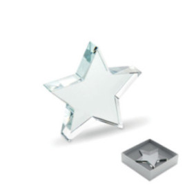 Trophée étoile en verre...