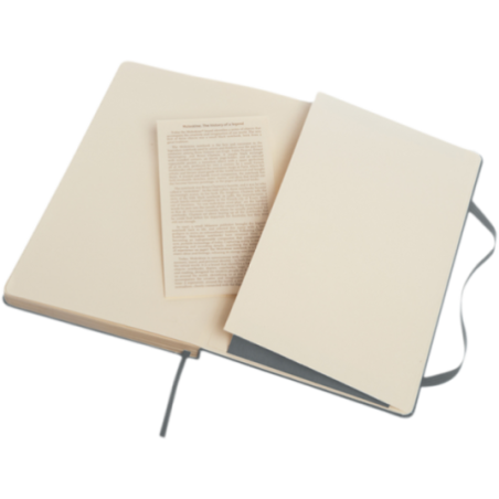 Carnet à couverture rigide Moleskine ® Classic L ligné 
