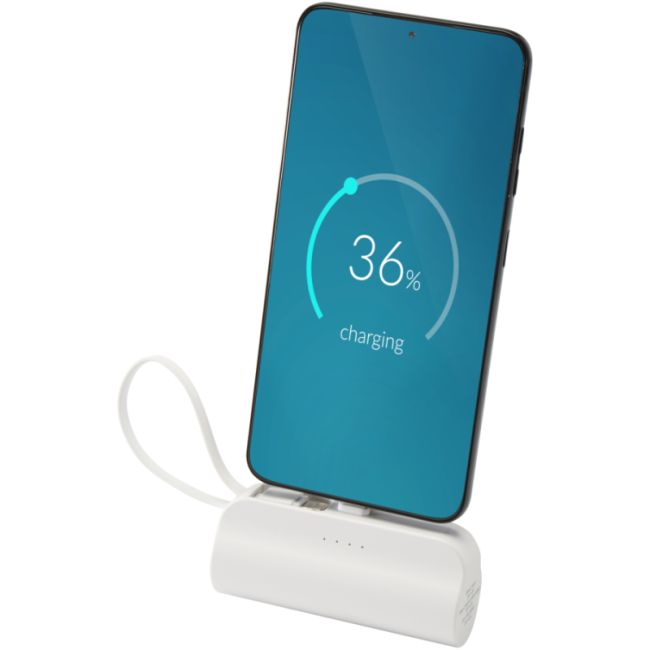 Batterie de secours personnalisée Alnair 