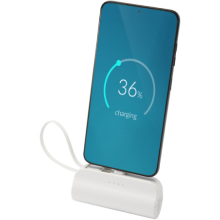Batterie de secours personnalisée Alnair 