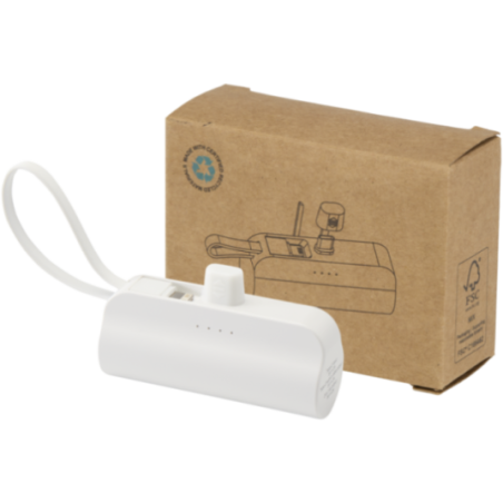 Batterie de secours personnalisée Alnair 