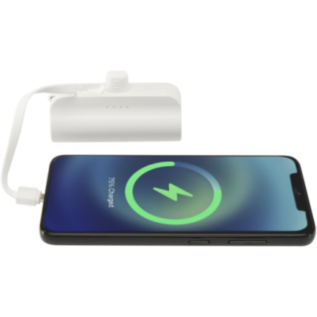 Batterie de secours personnalisée Alnair 