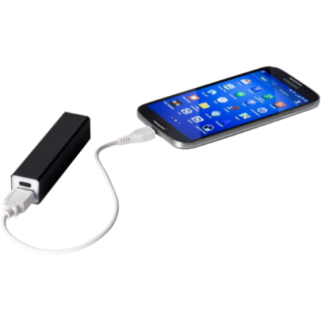 Batterie de secours personnalisée Volt 