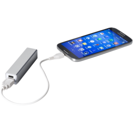 Batterie de secours personnalisée Volt 