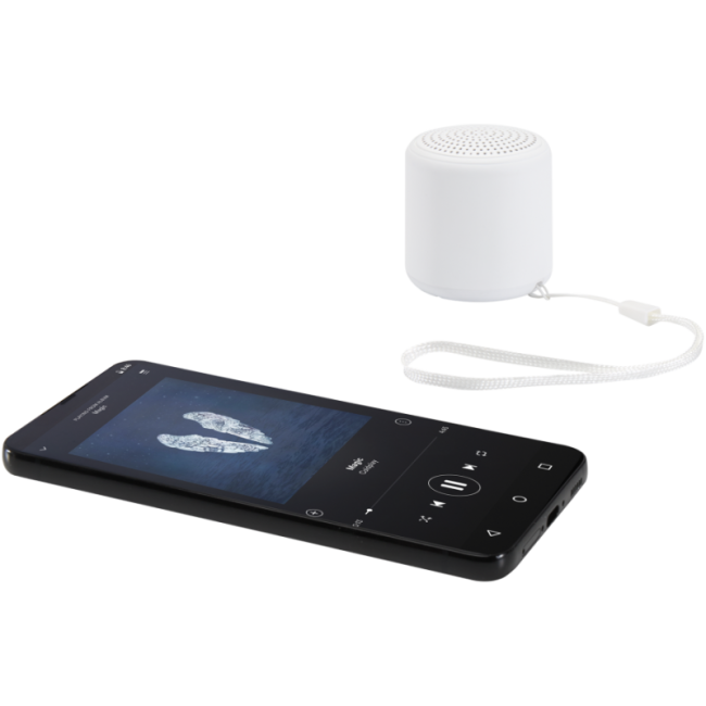 Enceinte sans fil personnalisée Velkis 