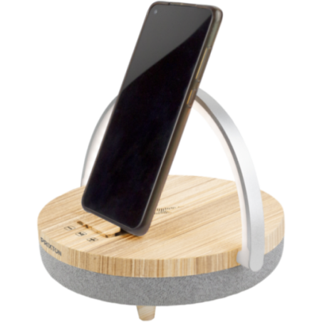 Enceinte sans fil 4-en-1 Prixton 