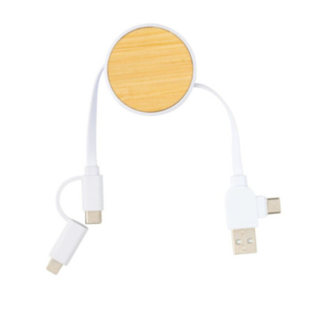 Câble de charge personnalisable 6-en-1 Ontario 