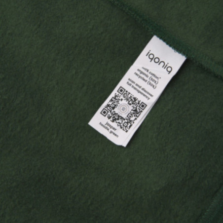 Sweat à capuche en coton recyclé Iqoniq Jasper 