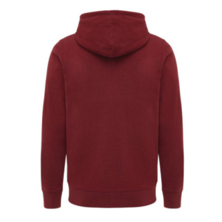 Sweat à capuche zippé en coton recyclé Iqoniq Abisko 