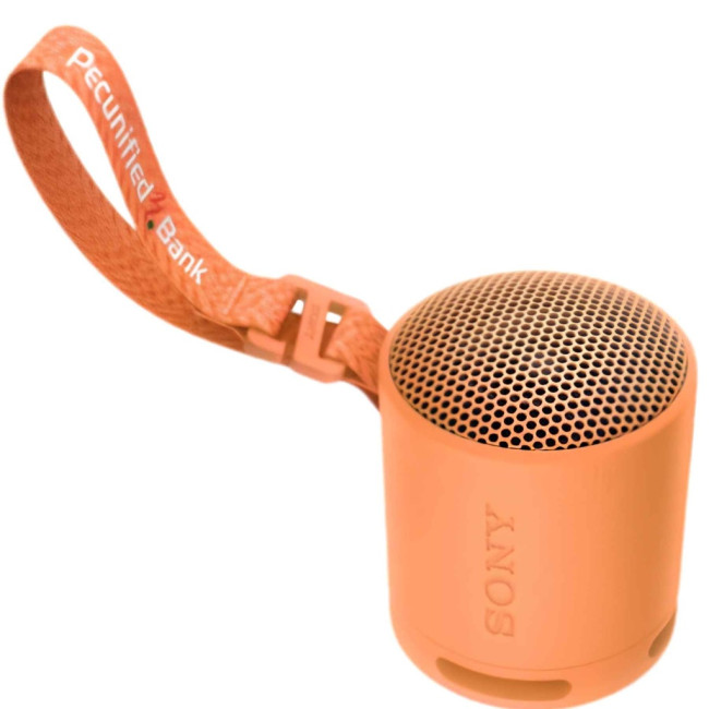 Enceinte Bluetooth personnalisée Sony SRS-XB100 
