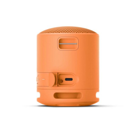 Enceinte Bluetooth personnalisée Sony SRS-XB100 