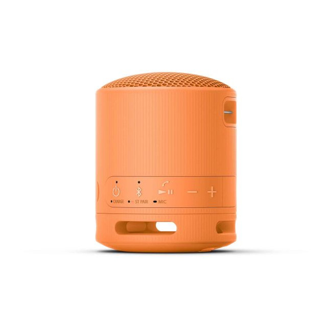 Enceinte Bluetooth personnalisée Sony SRS-XB100 