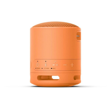 Enceinte Bluetooth personnalisée Sony SRS-XB100 