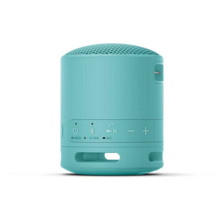 Enceinte Bluetooth personnalisée Sony SRS-XB100 