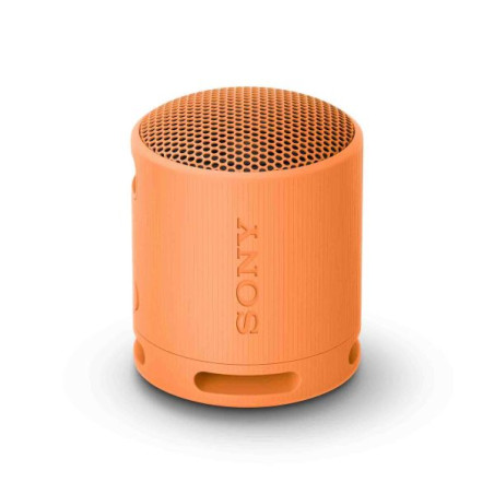 Enceinte Bluetooth personnalisée Sony SRS-XB100 