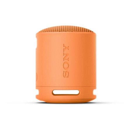 Enceinte Bluetooth personnalisée Sony SRS-XB100 