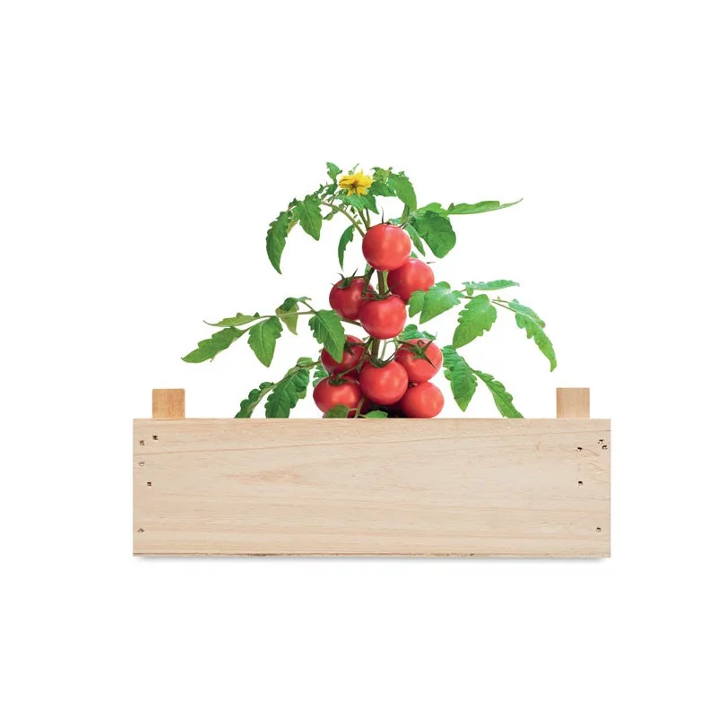Kit de culture de tomate...