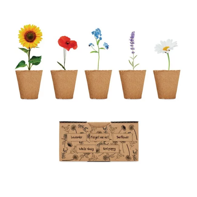 Kit de culture publicitaire Flowers