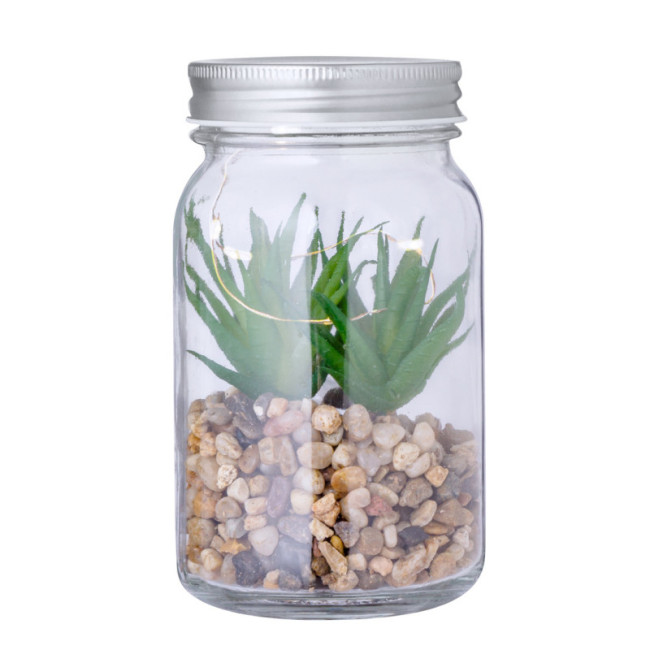 Plante Personnalisée décorative Kyala 