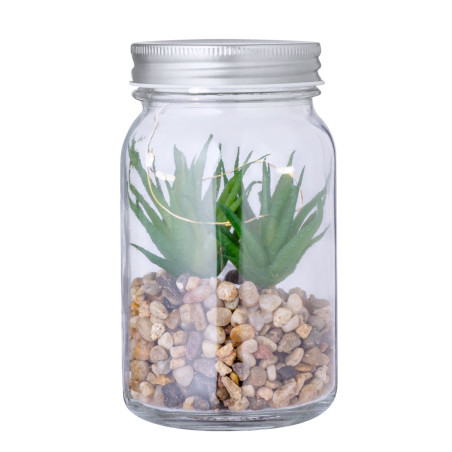 Plante Personnalisée décorative Kyala 