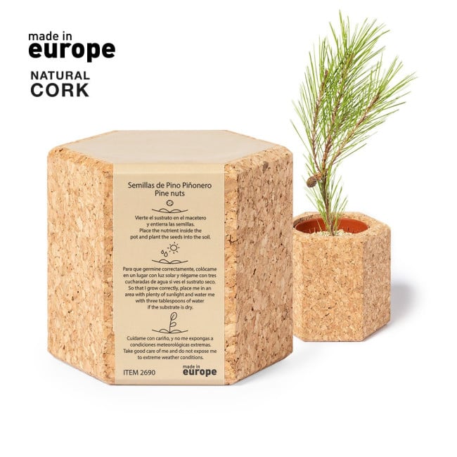 Pot en liège avec graines de pins