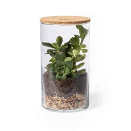 Terrarium promotionnel Anymak