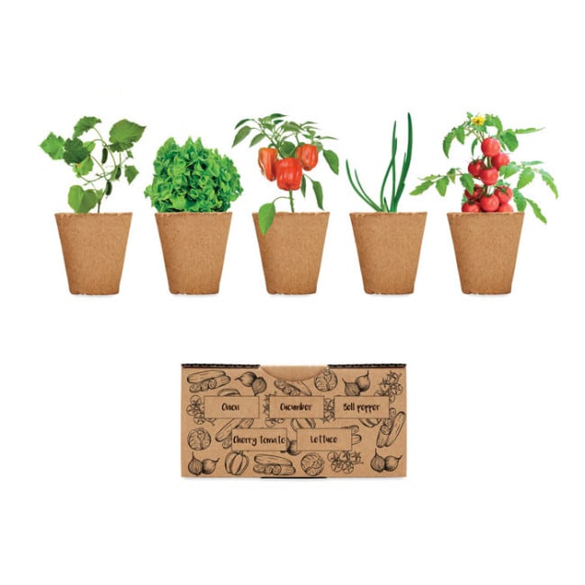 Kit culture de salade Fresh