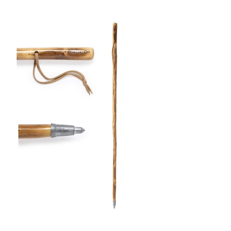 Bâton de marche en bois Tamdar 